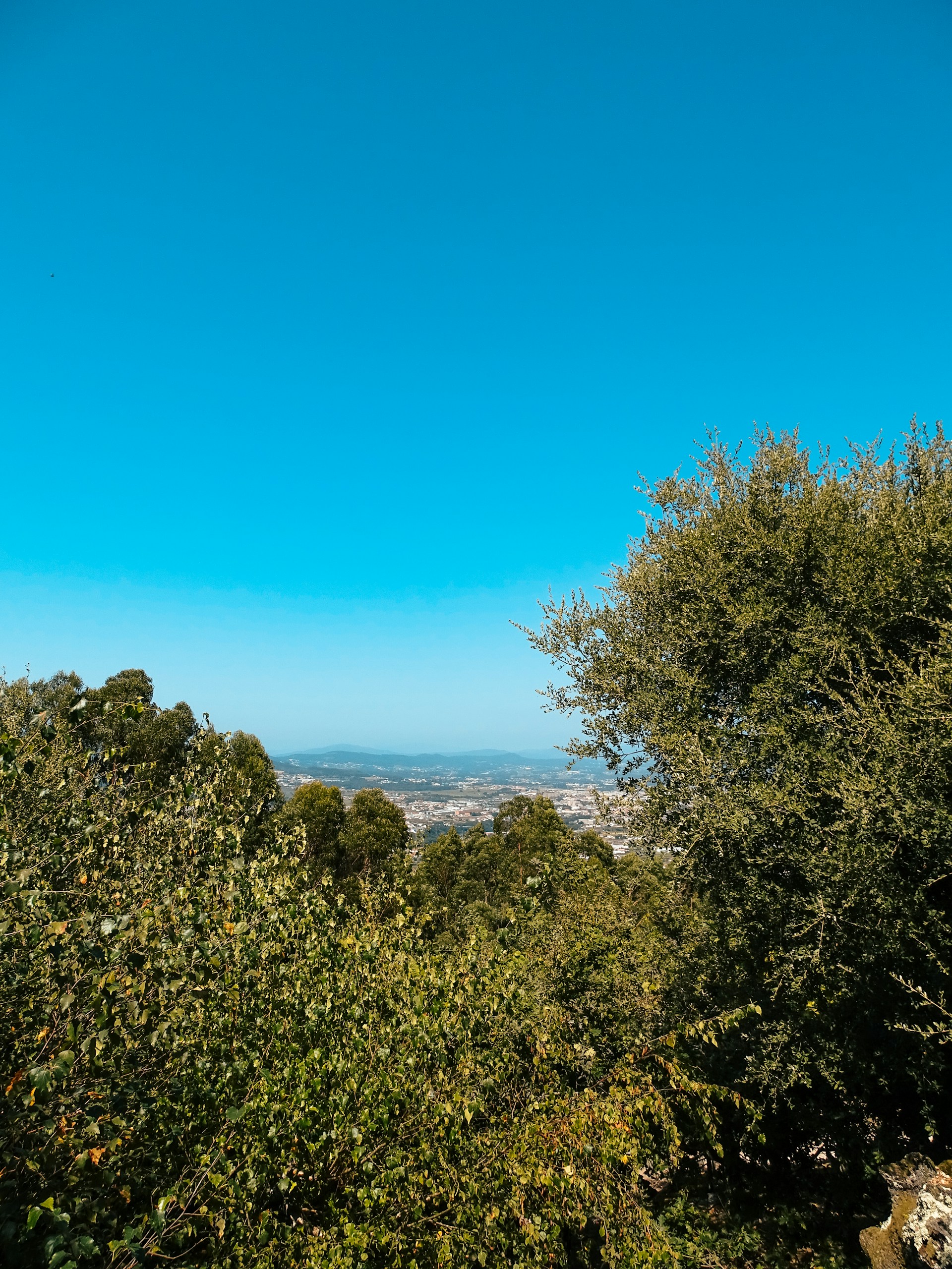 woman wearing yellow long-sleeved dress under white clouds and blue sky during daytime