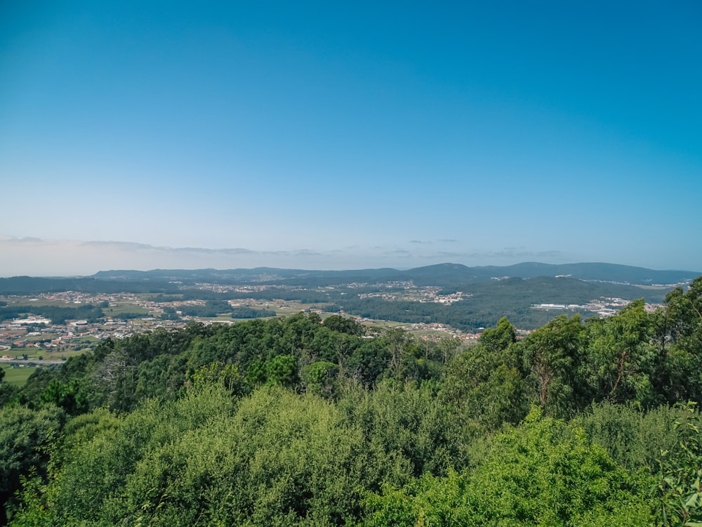 Blick auf eine Stadt von einem Hügel aus