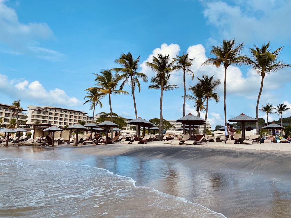 a beach with a bunch of umbrellas and palm trees