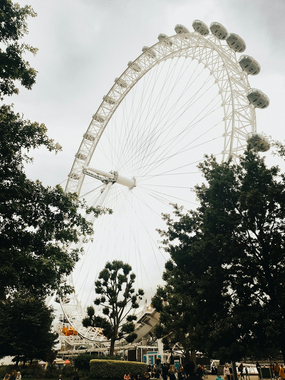 a large ferris wheel sitting above a lush green park