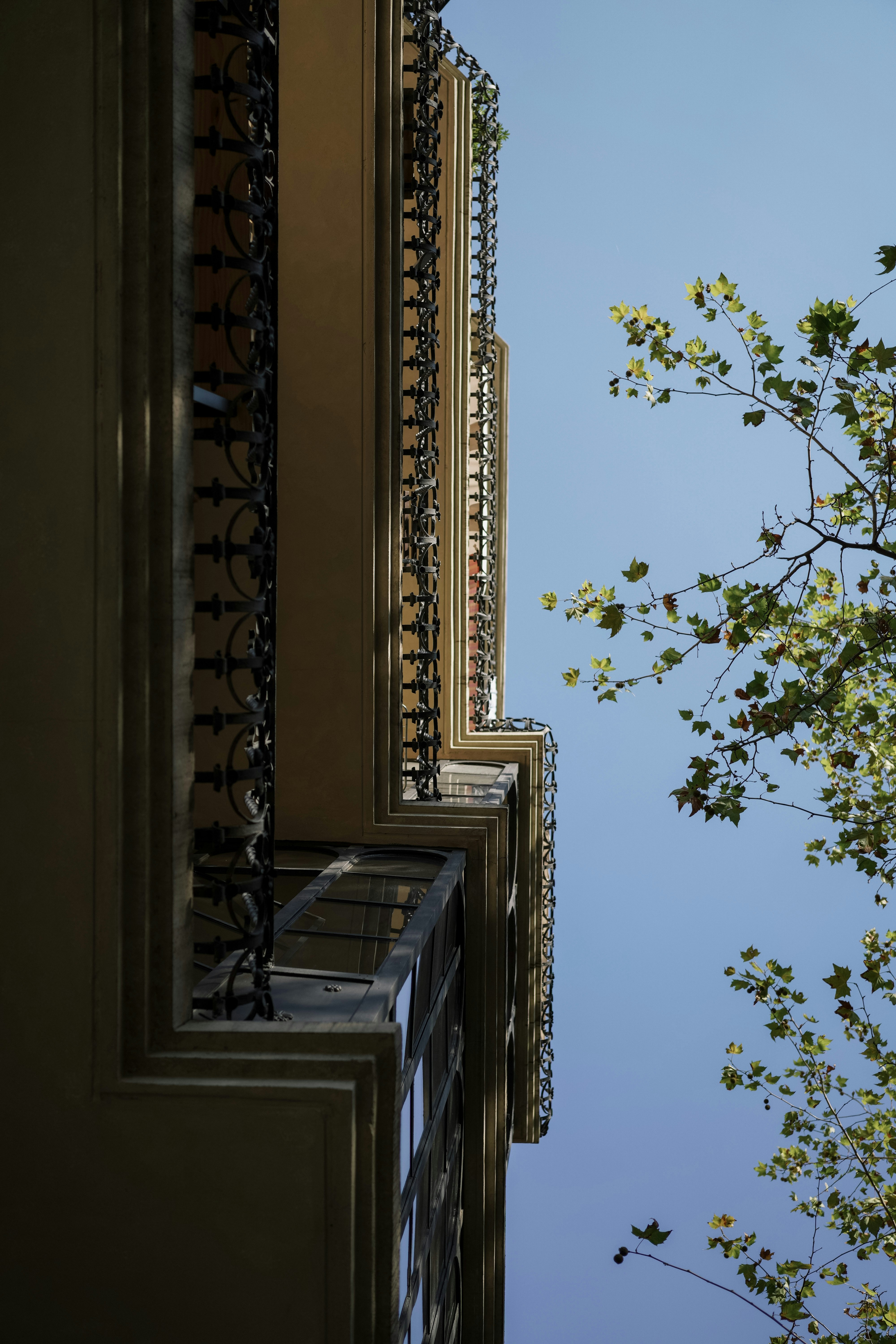 Photo by kateivanova__