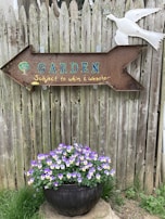 A rustic wooden fence forms the backdrop for a large arrow-shaped metal sign pointing to the right. The sign reads 'GARDEN Subject to whim & weather' in colorful letters. Above the sign, there's a white bird sculpture attached to the fence. Below the sign, a black pot is filled with vibrant purple and yellow flowers, placed on a concrete stepping stone surrounded by grass.