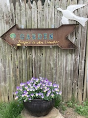 A charming decorative garden sign hanging on a rustic wooden fence surrounded by blooming flowers.