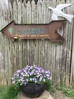 A rustic wooden fence forms the backdrop for a large arrow-shaped metal sign pointing to the right. The sign reads 'GARDEN Subject to whim & weather' in colorful letters. Above the sign, there's a white bird sculpture attached to the fence. Below the sign, a black pot is filled with vibrant purple and yellow flowers, placed on a concrete stepping stone surrounded by grass.