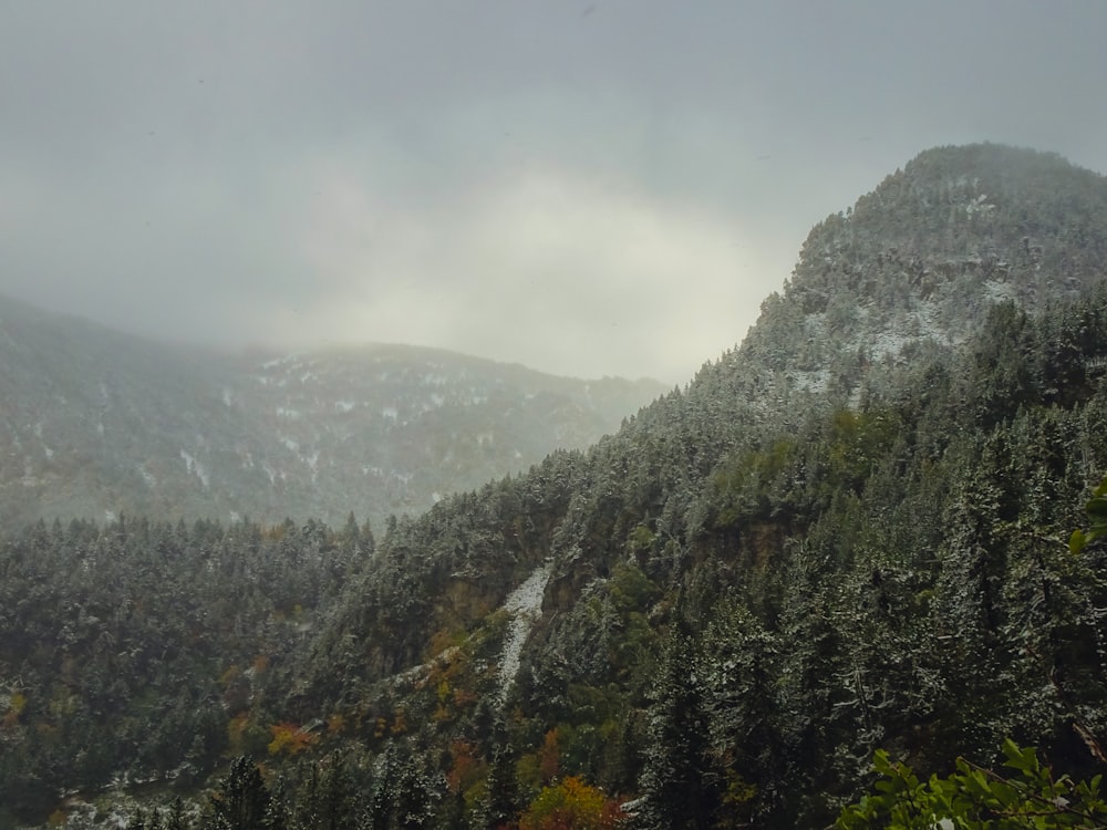 a mountain covered in snow and surrounded by trees