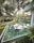 A serene garden scene featuring lush tropical vegetation, including numerous palm trees surrounding a luxuriously tiled water feature. The area includes sun loungers partially submerged in the water, with a path leading to cozy, thatched-roof pavilions in the background. The environment exudes tranquility amidst greenery and water reflections.