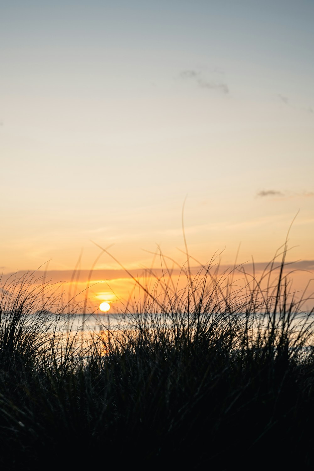 the sun is setting over the ocean with tall grass