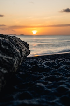 Sunset photograph over a calm beach with driftwood in foreground.