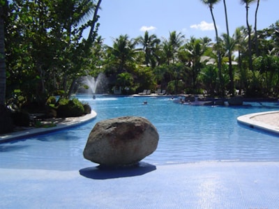 A serene swimming pool surrounded by palm trees.