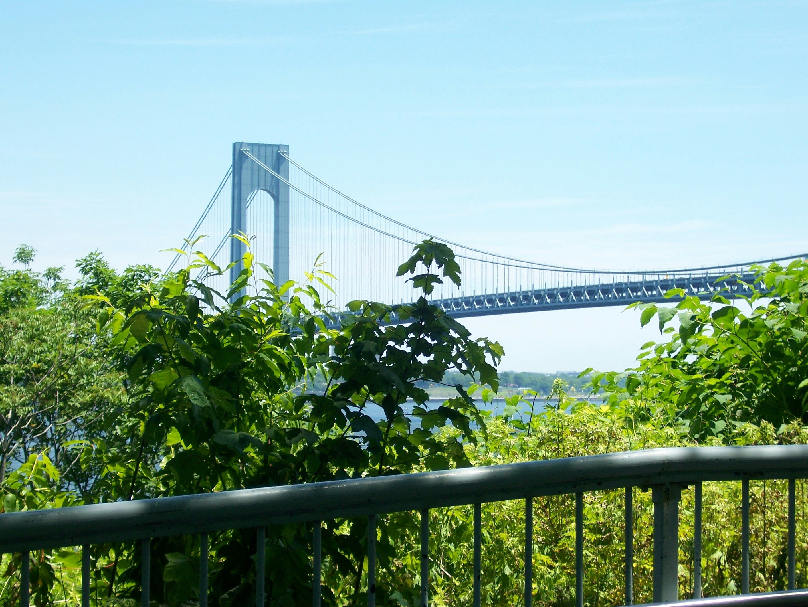 a view of a bridge from a park bench