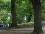 A peaceful park scene with people enjoying nature.