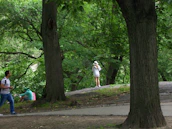 A peaceful outdoor scene showing a participant enjoying community activities with a carer.