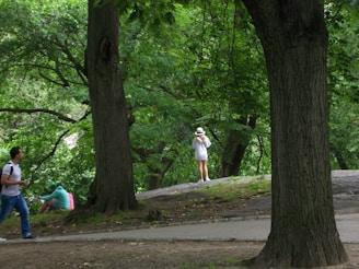 A peaceful park scene with people enjoying nature.