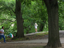 A peaceful outdoor scene showing a participant enjoying community activities with a carer.