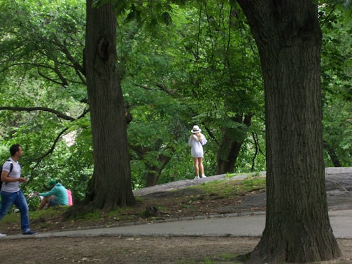 A peaceful park scene with people enjoying nature.
