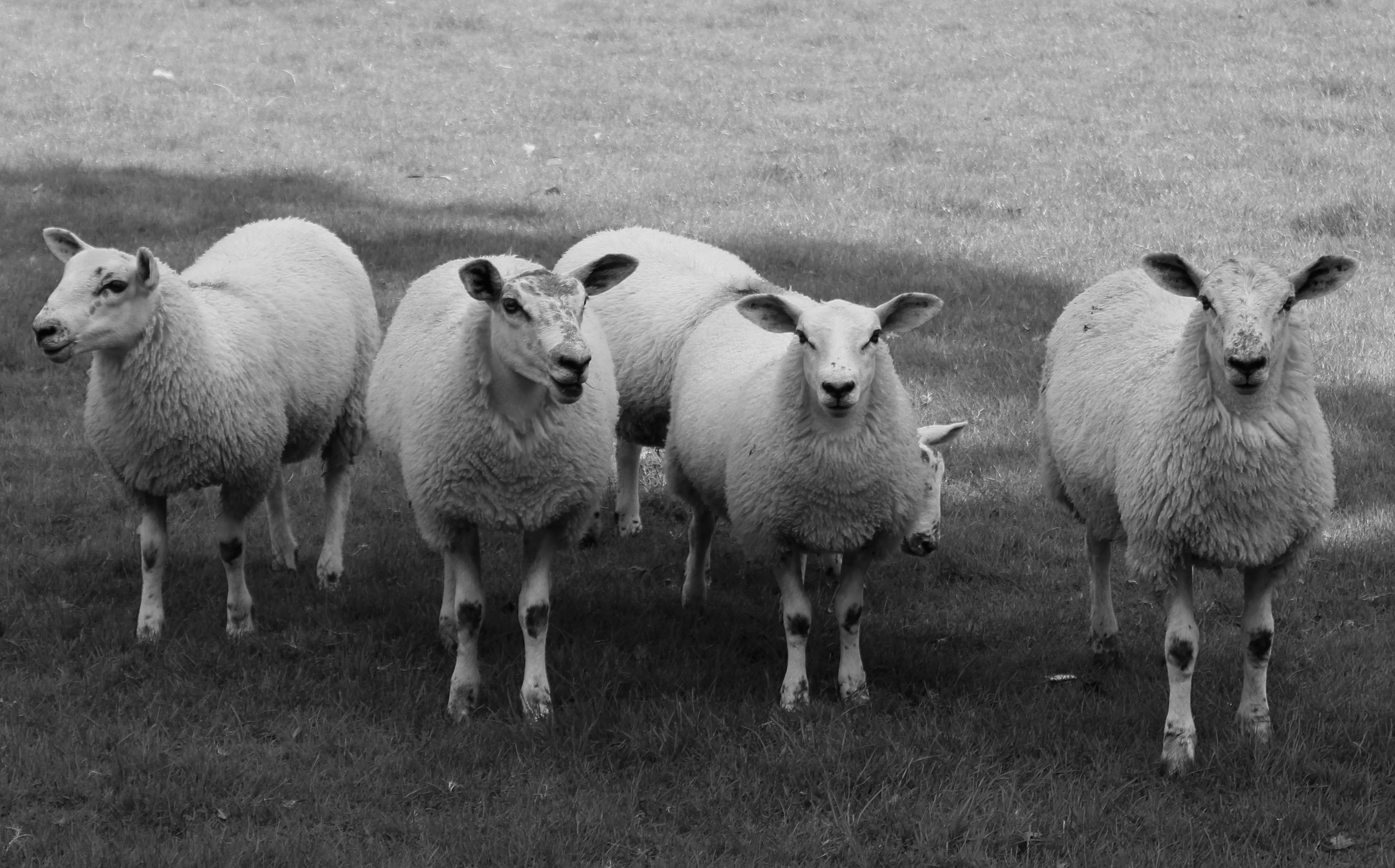 Photo by taketwentysix