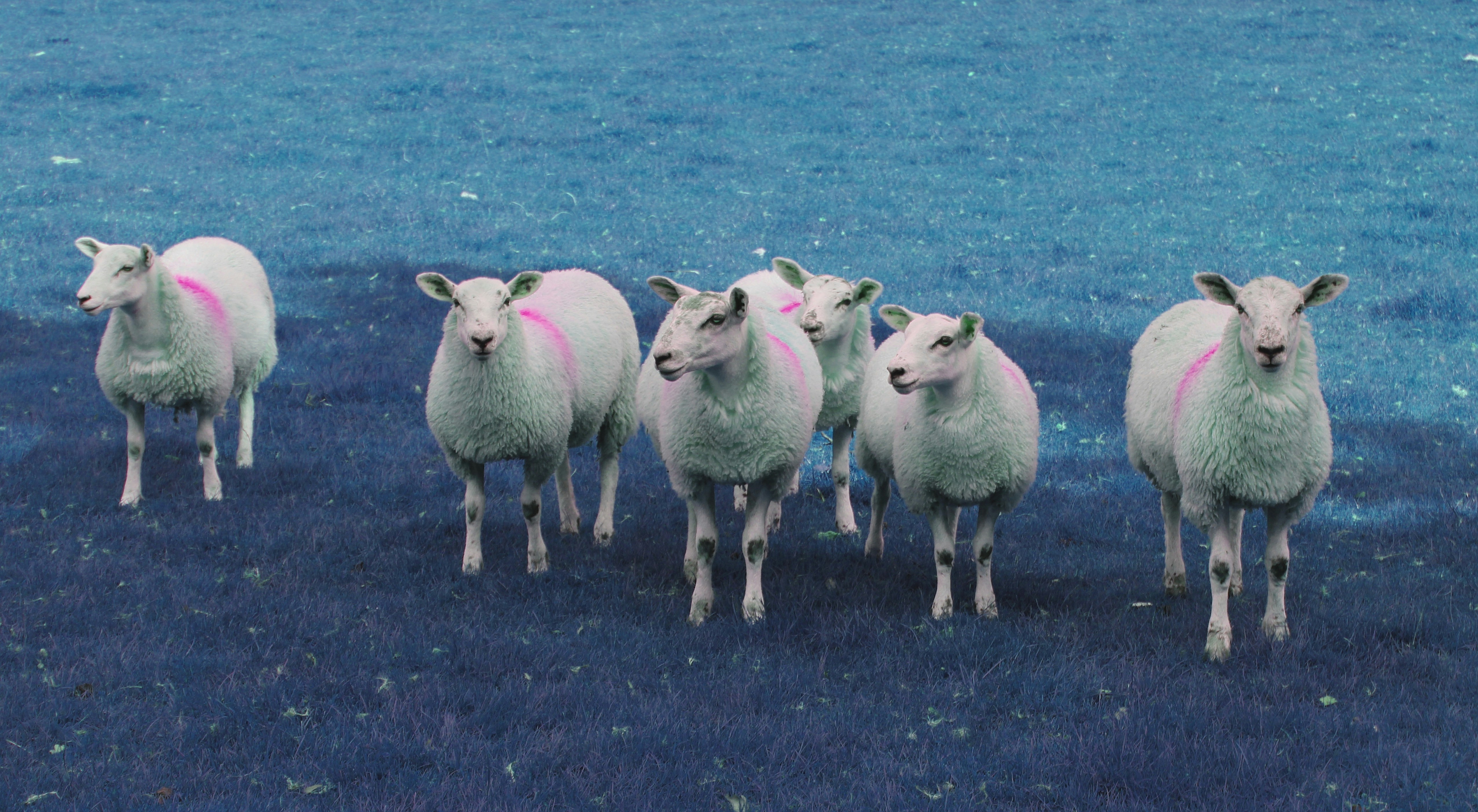 Photo by taketwentysix