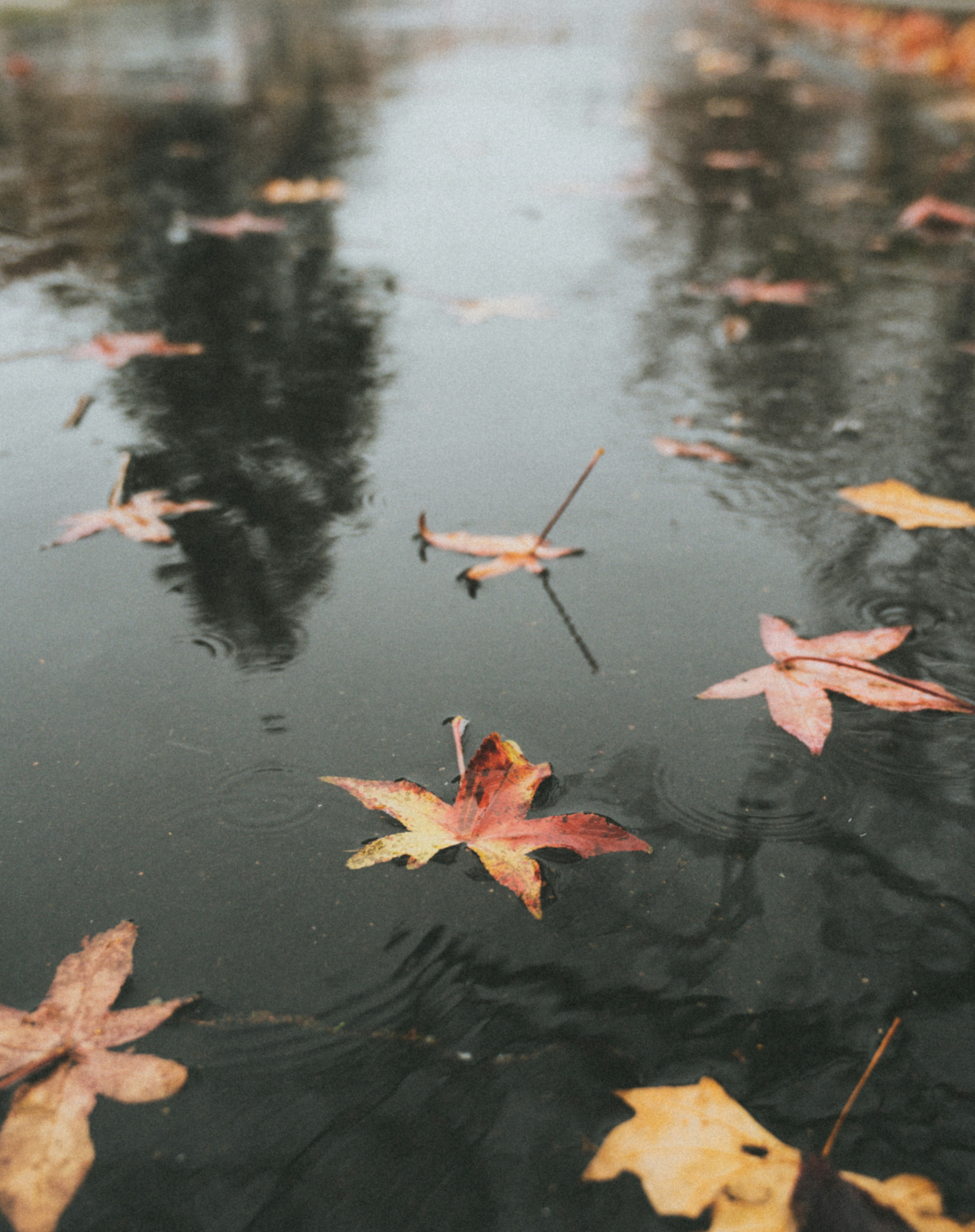 Photo by faitheraser