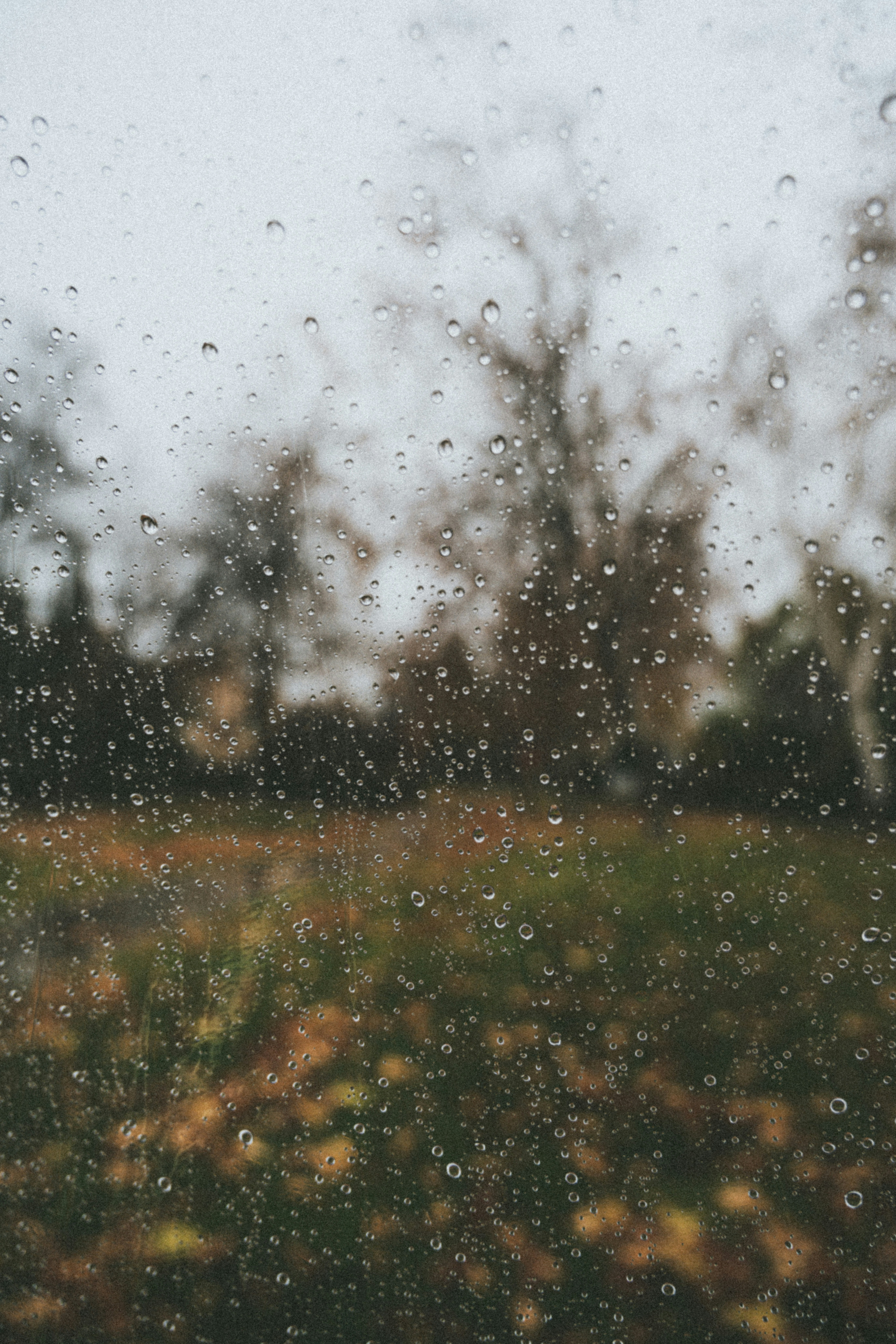 Photo by faitheraser