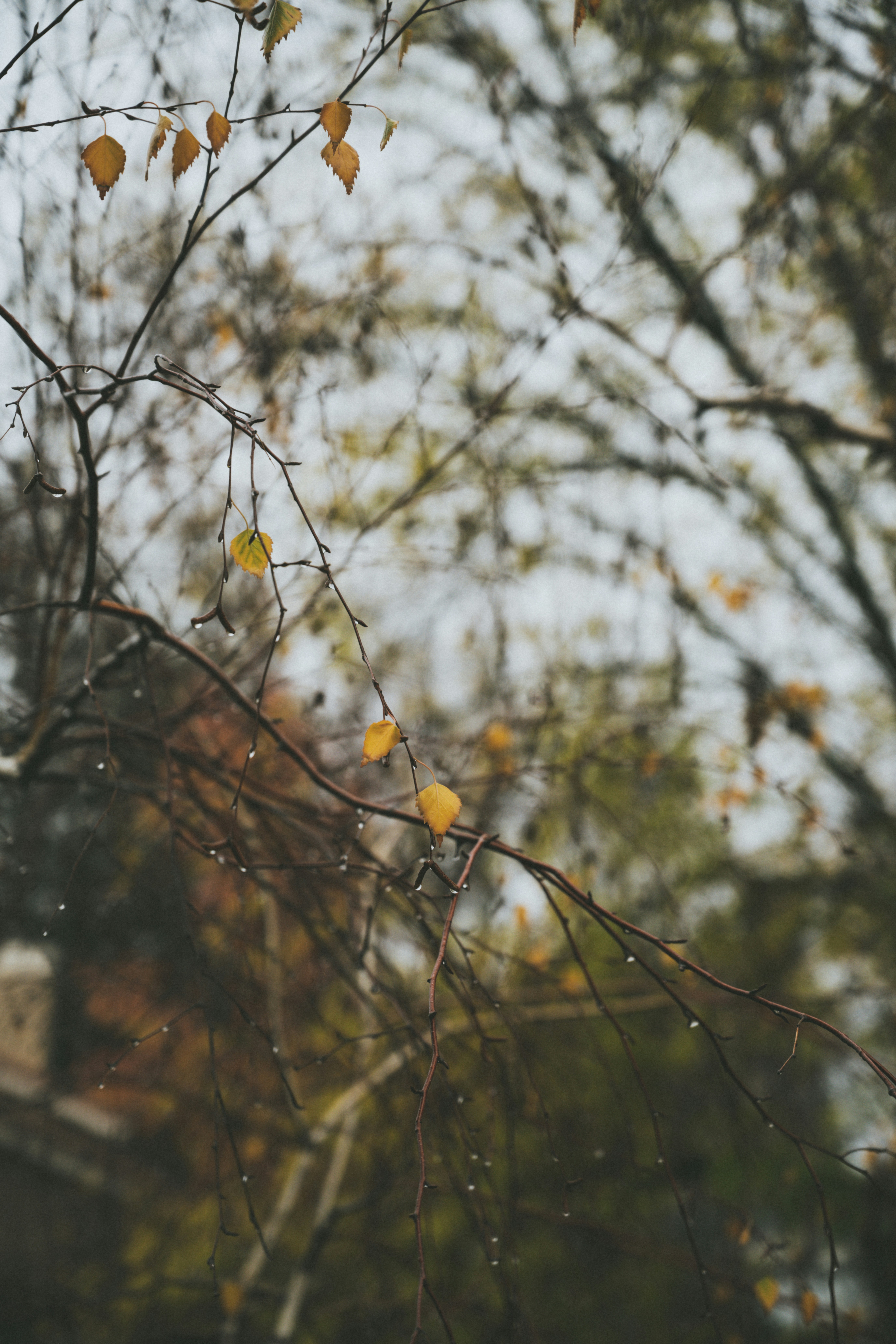 Photo by faitheraser
