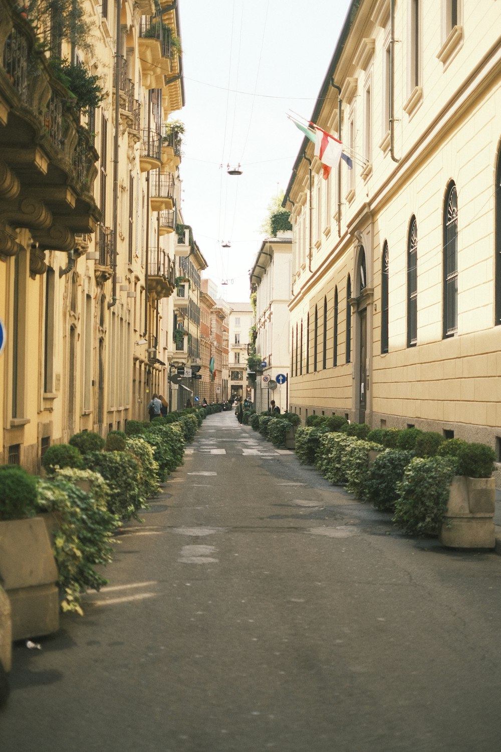 a narrow street lined with buildings and bushes