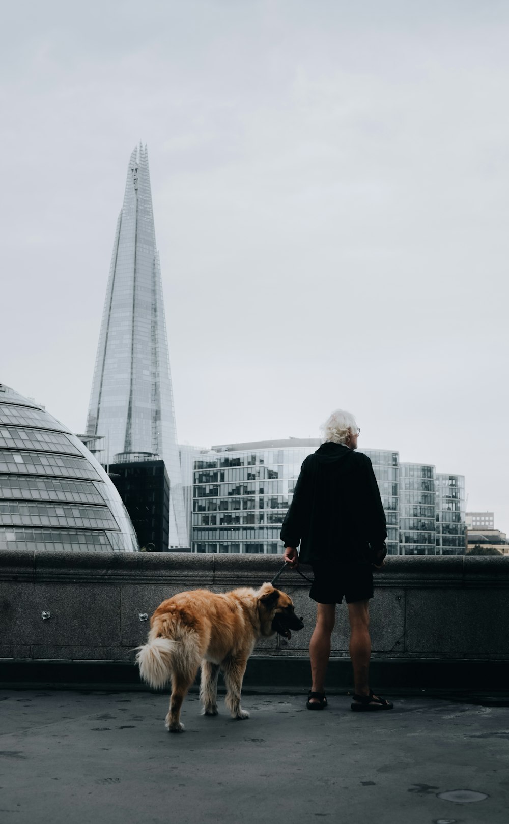 a person and a dog on a bridge