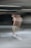 A blurred motion capture of a person on a skateboard, creating a ghostly effect. The person appears to be moving, with their image duplicated and smeared across the scene. The background is dark and indistinct, emphasizing the movement of the figure.