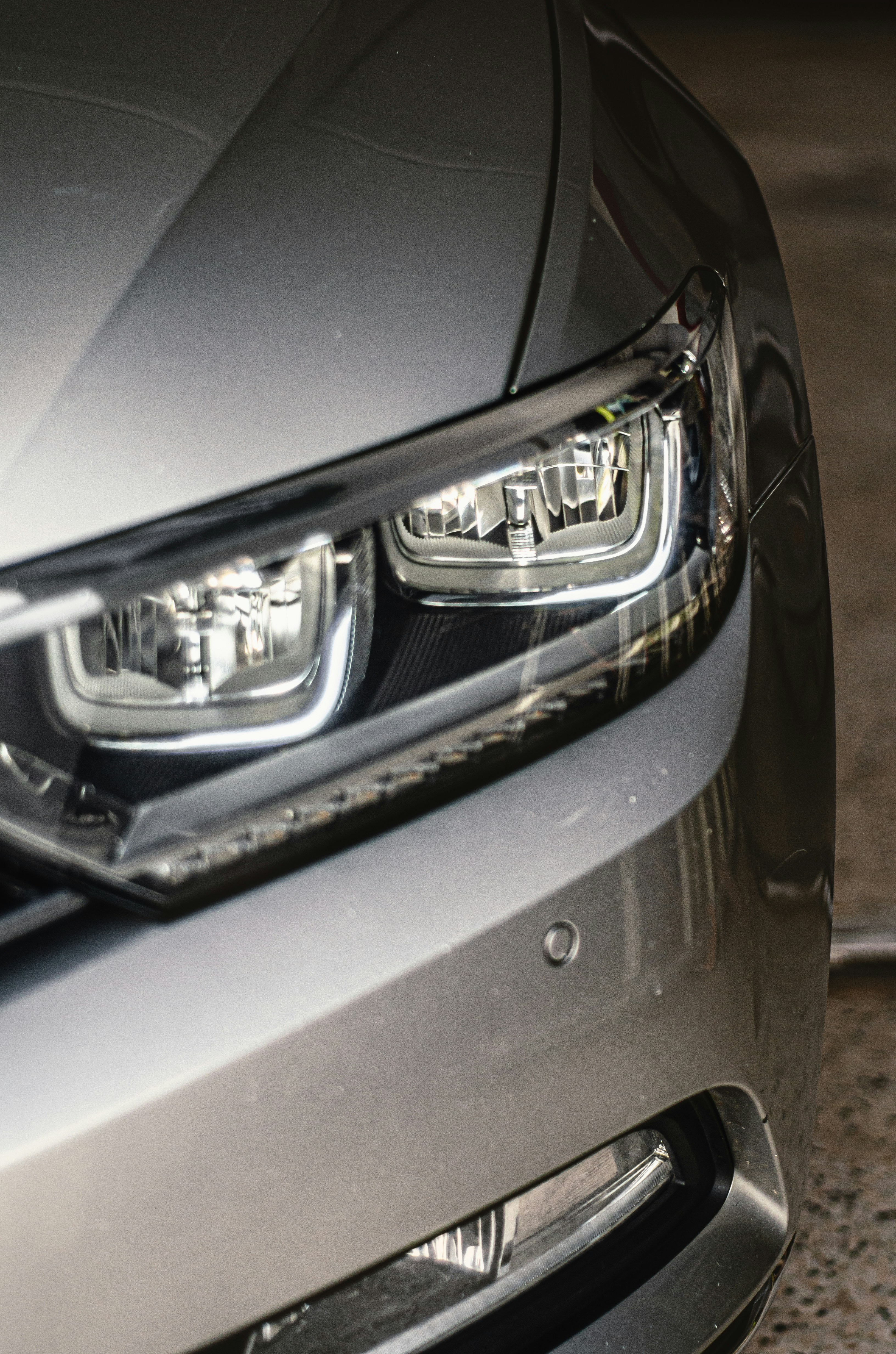 Photo by alpha_photographer