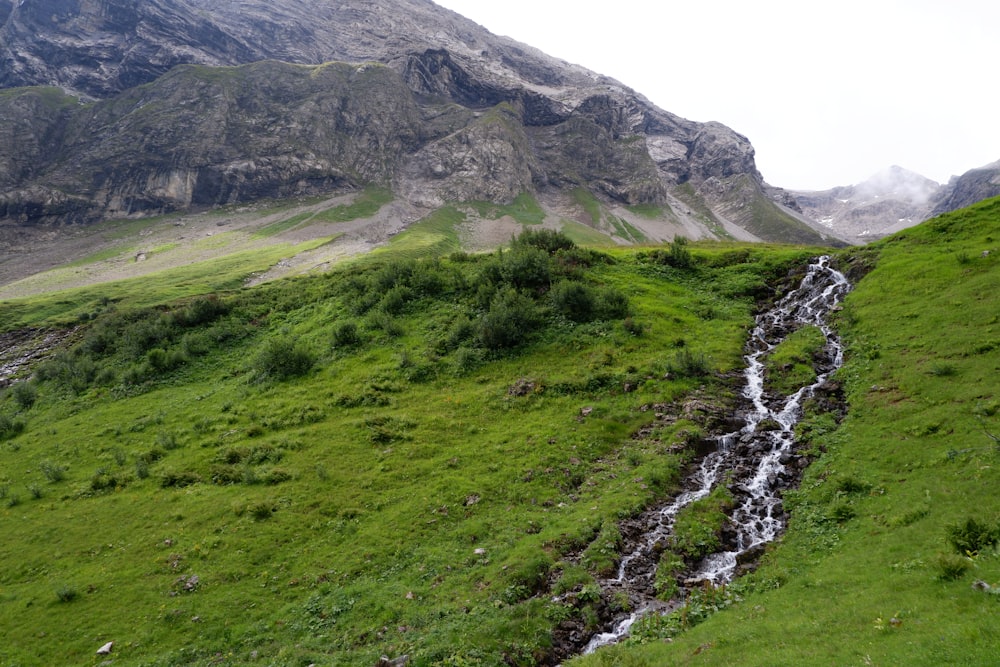 a stream running through a lush green hillside