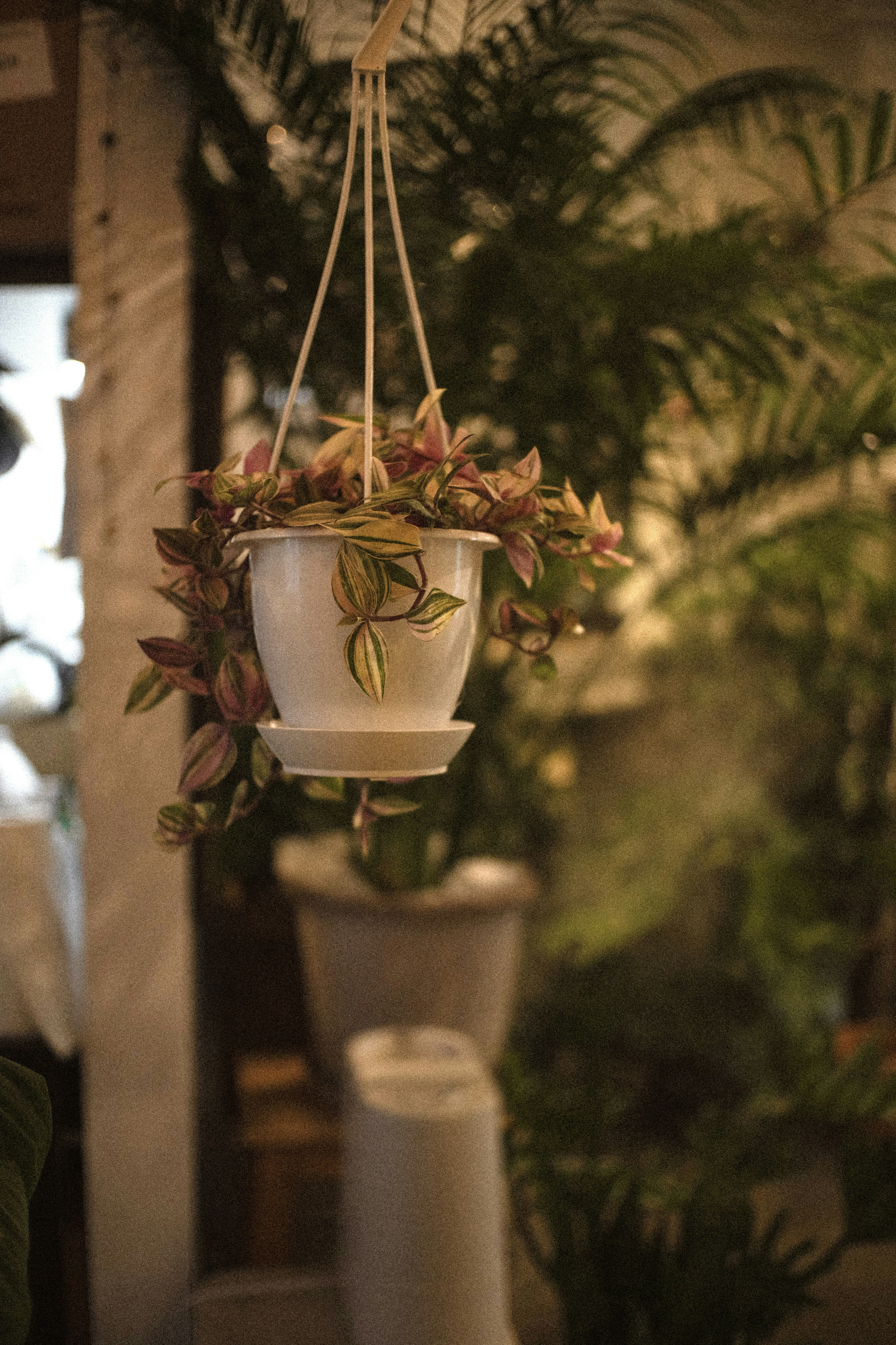 Photo by apollovishwas