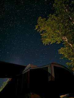 A peaceful camping spot surrounded by tall trees and a clear starry night above.