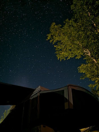 A peaceful camping spot surrounded by tall trees and a clear starry night above.