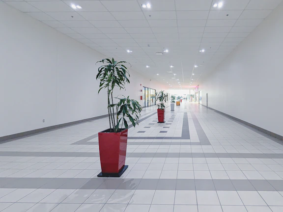 a long hallway with a potted plant in the middle