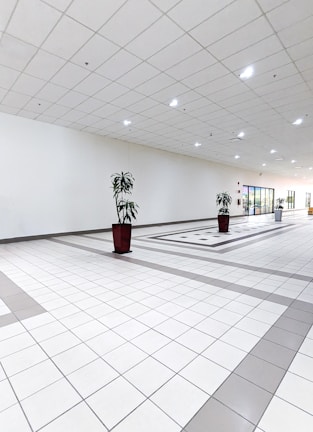 a large empty room with two potted plants