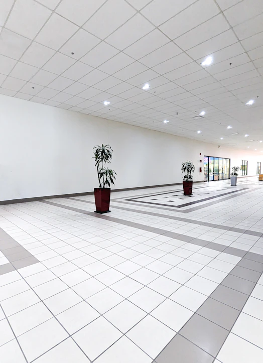 a large empty room with two potted plants