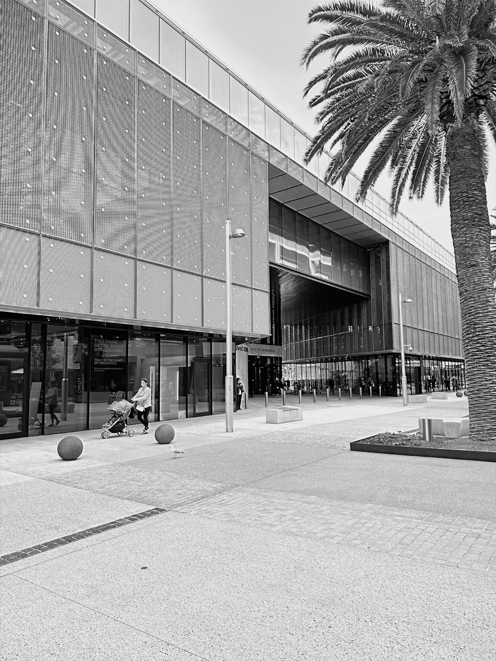 a black and white photo of a building with a palm tree