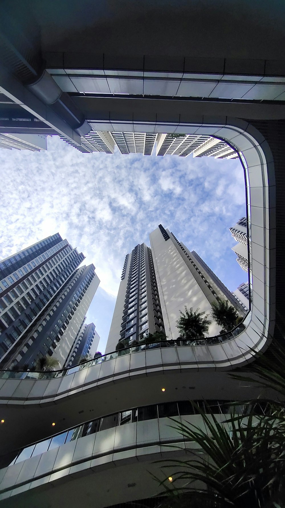 looking up at tall buildings through a window