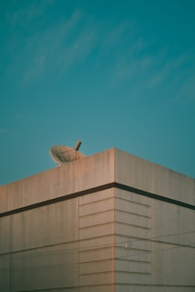 a bird is sitting on top of a building