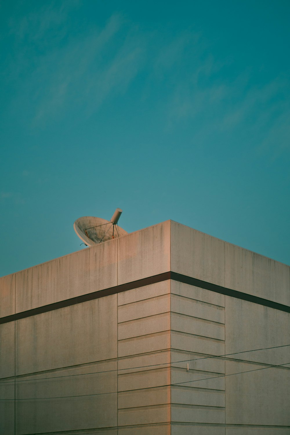 a bird is sitting on top of a building