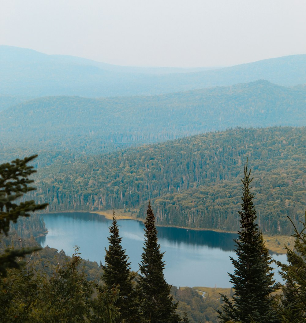 a view of a lake surrounded by trees