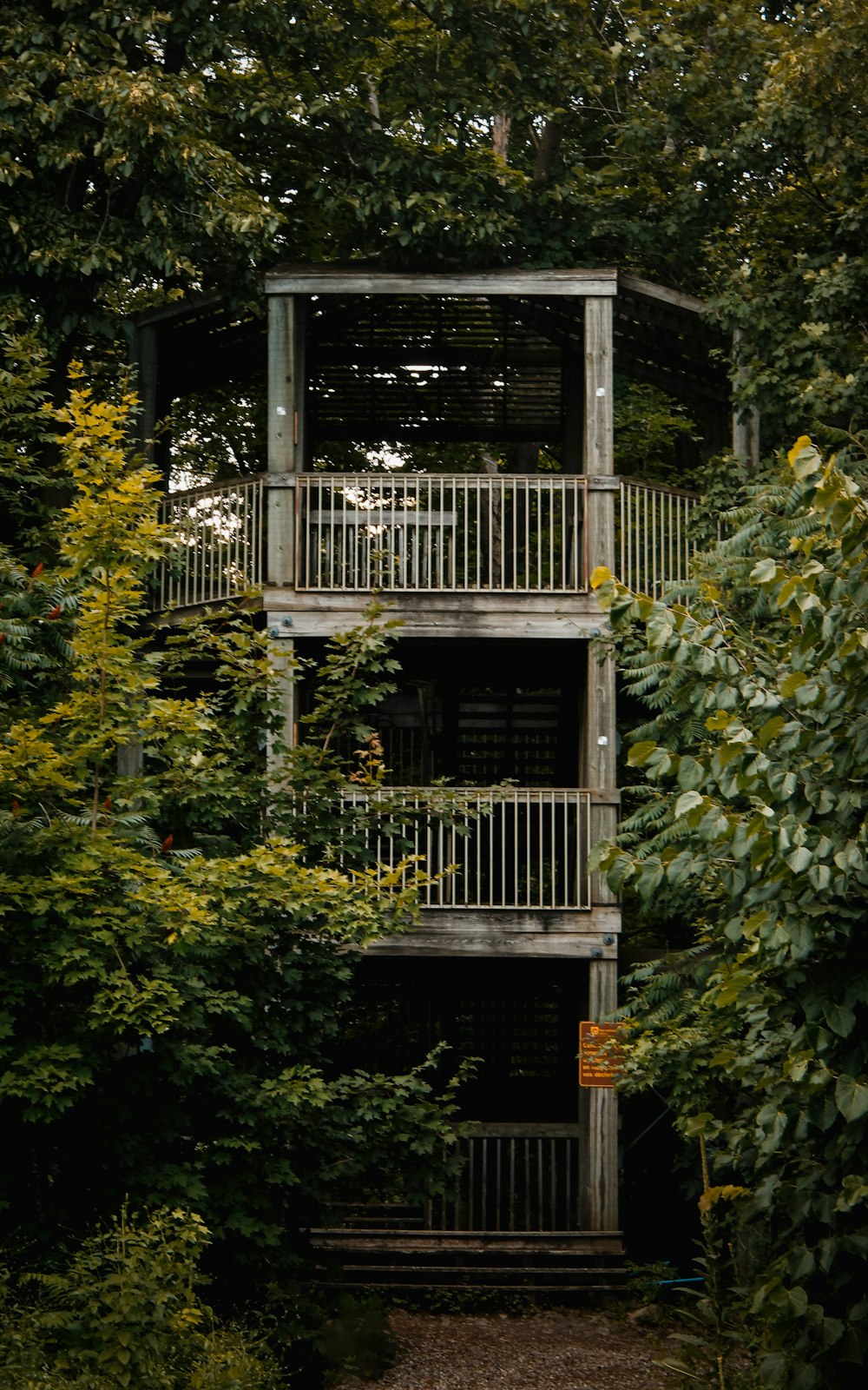 a tall building surrounded by trees and bushes