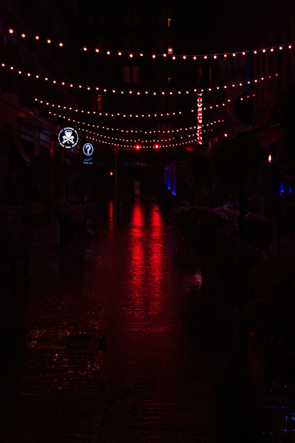 a dark street with lights strung over it