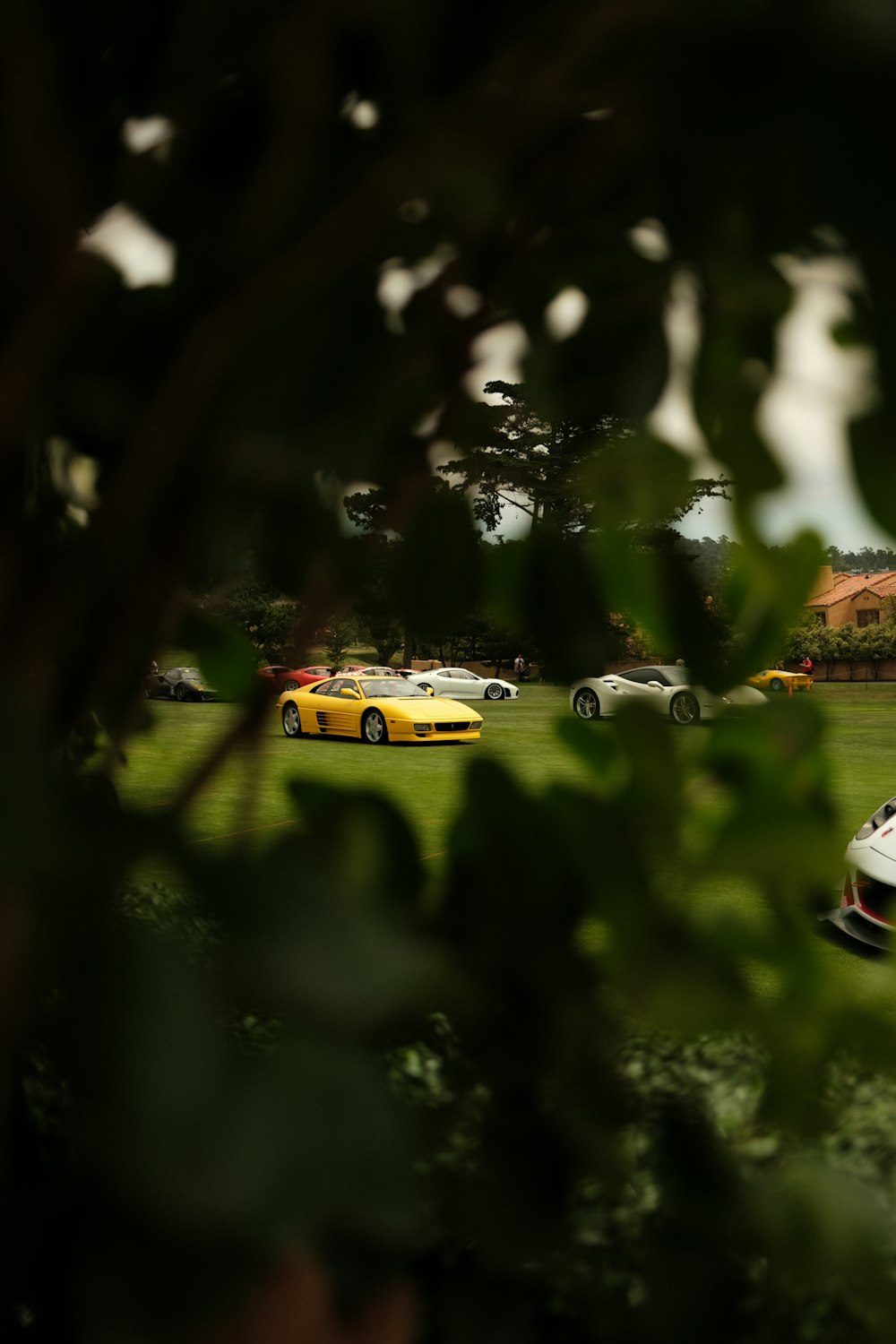 a group of cars parked in a grassy field