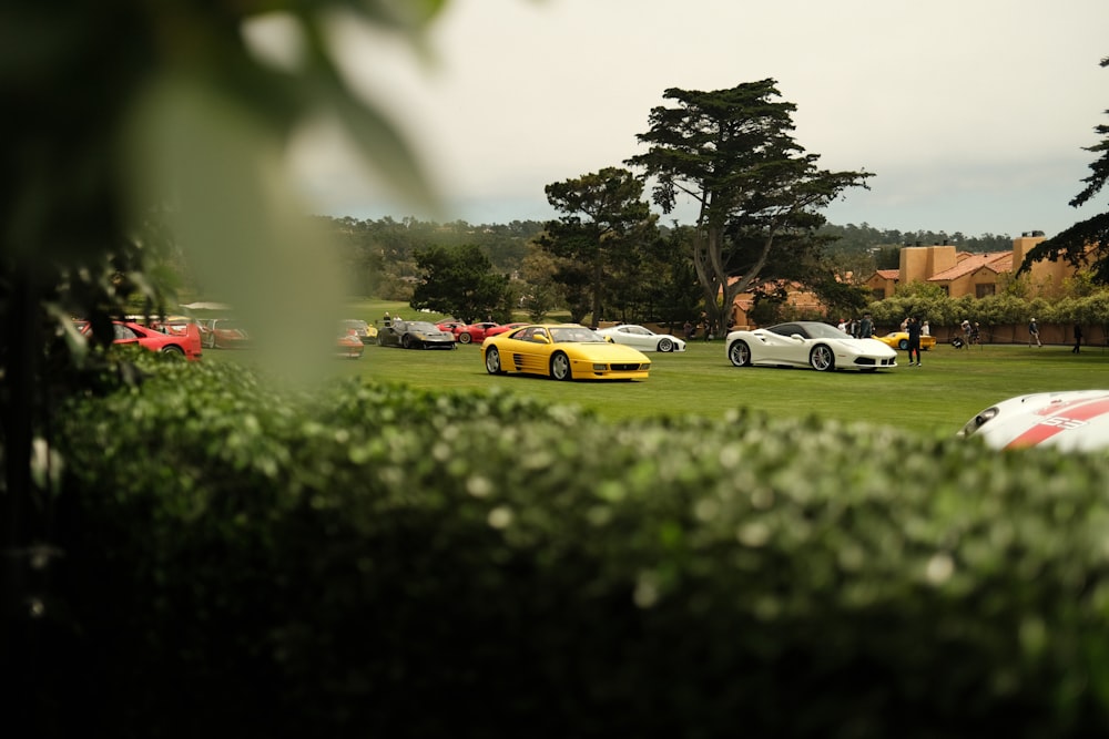 a group of sports cars parked in a field