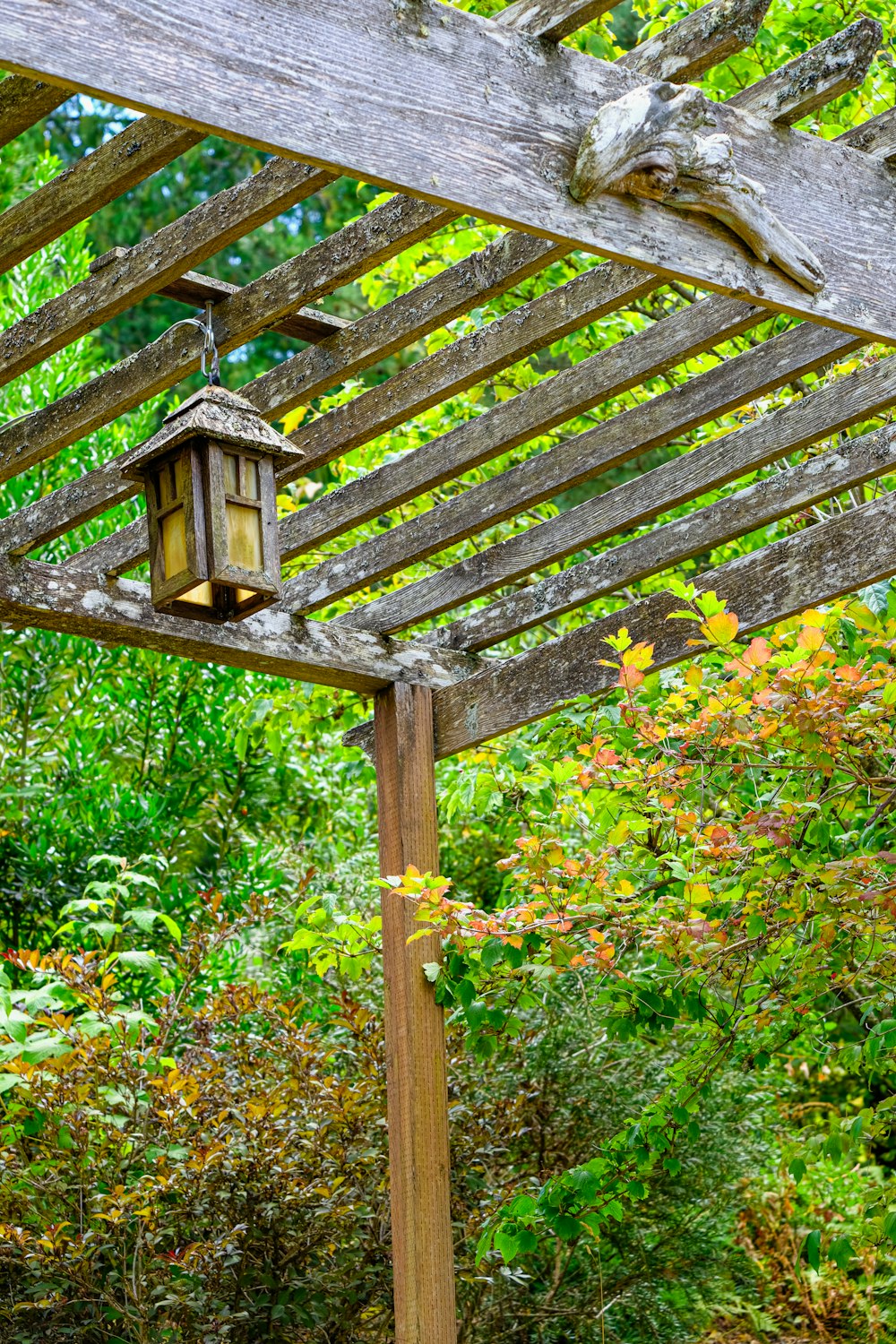 a bird feeder hanging from a wooden structure