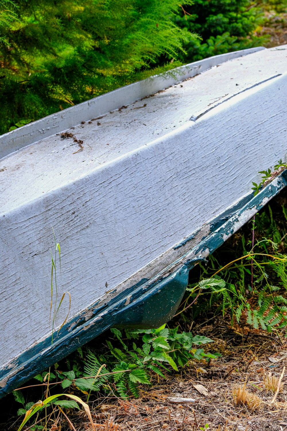 a boat sitting on the ground next to a forest