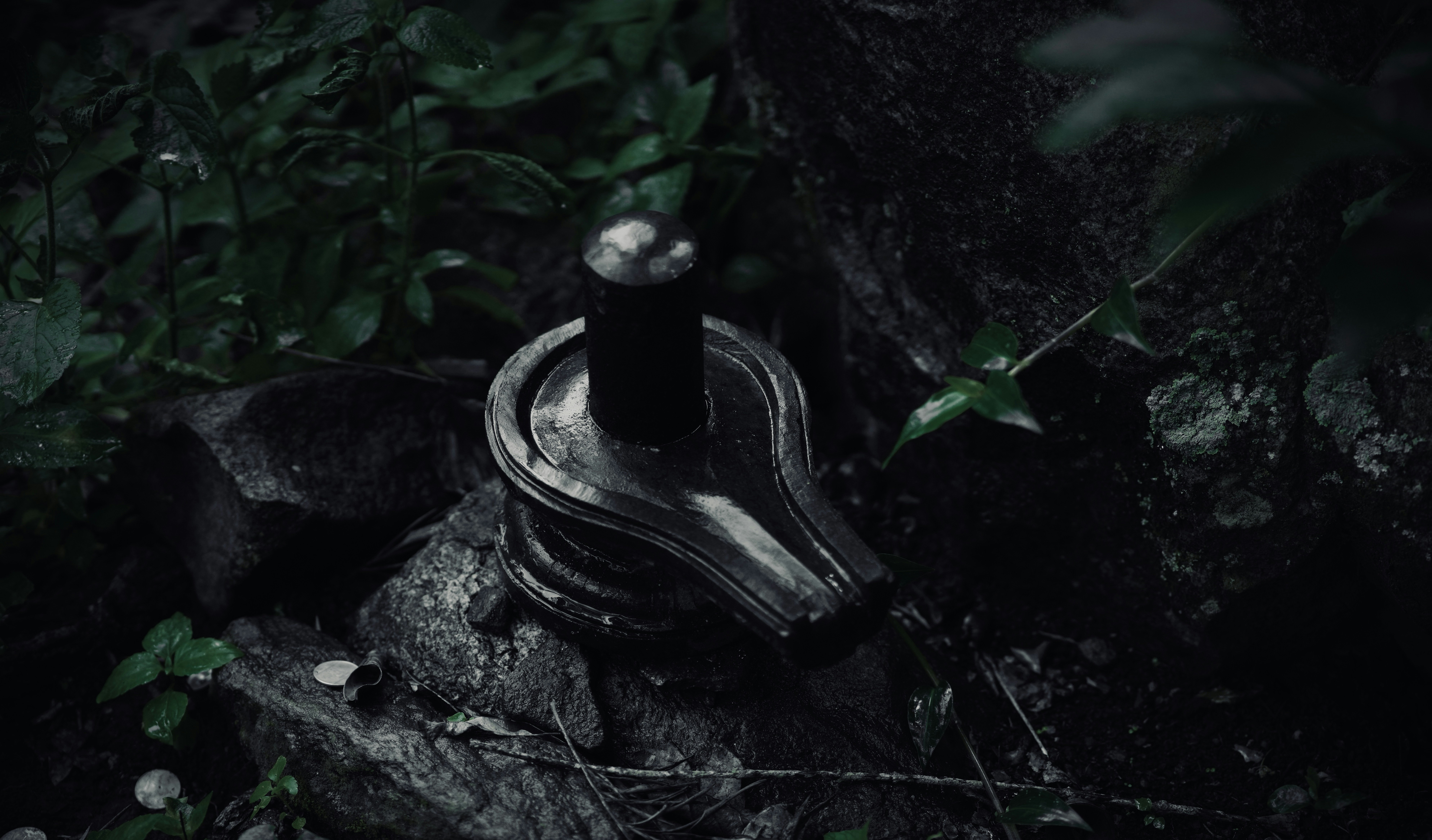 Relique de Tisserand