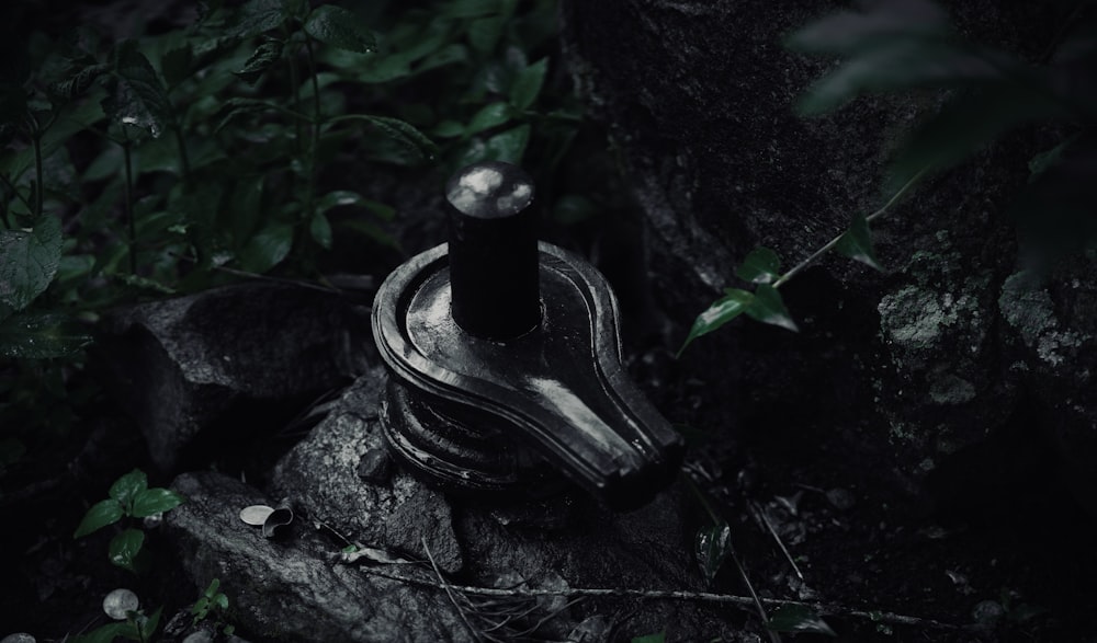 a broken shoe sitting on a rock in the woods