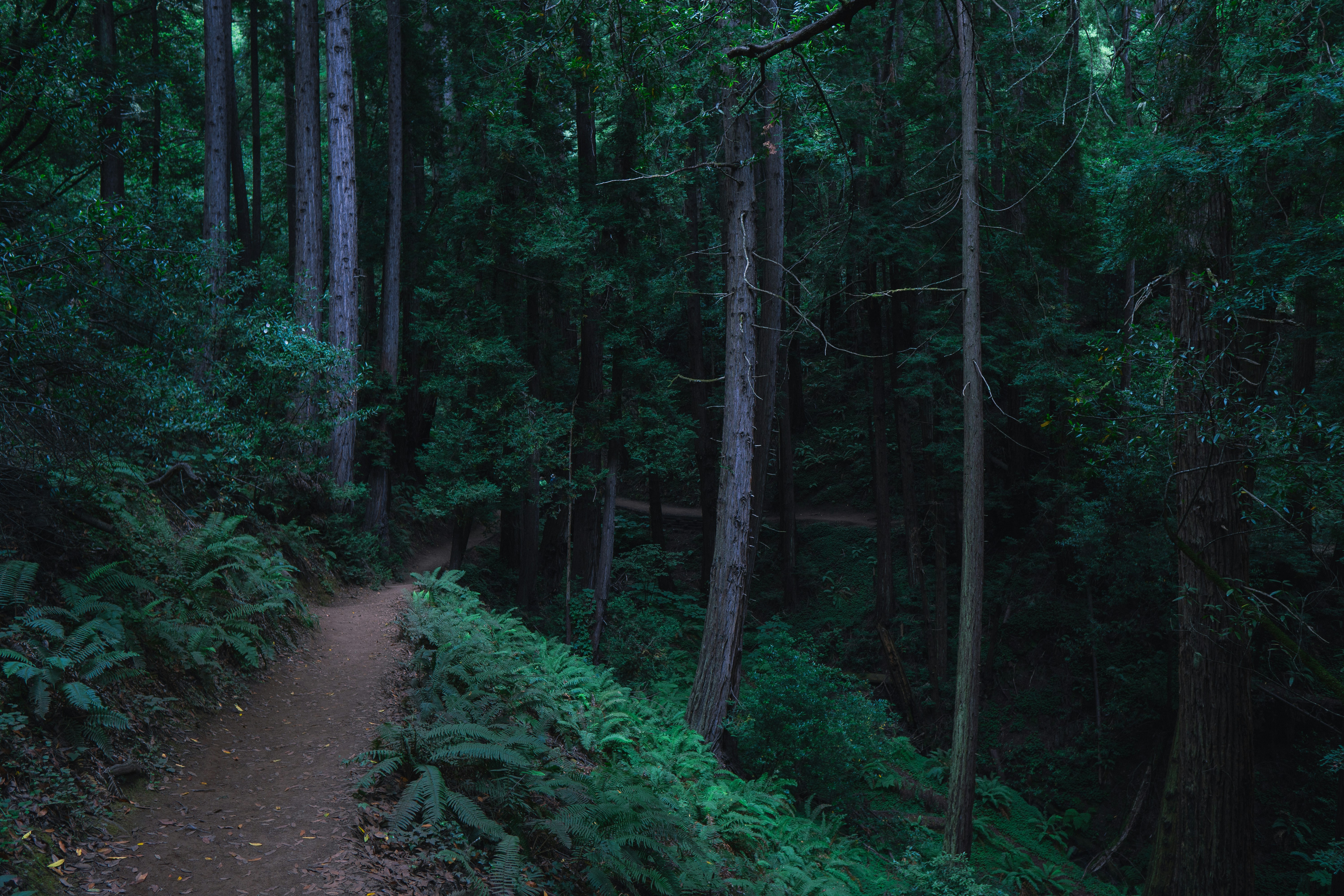 Photo by antonioguedes