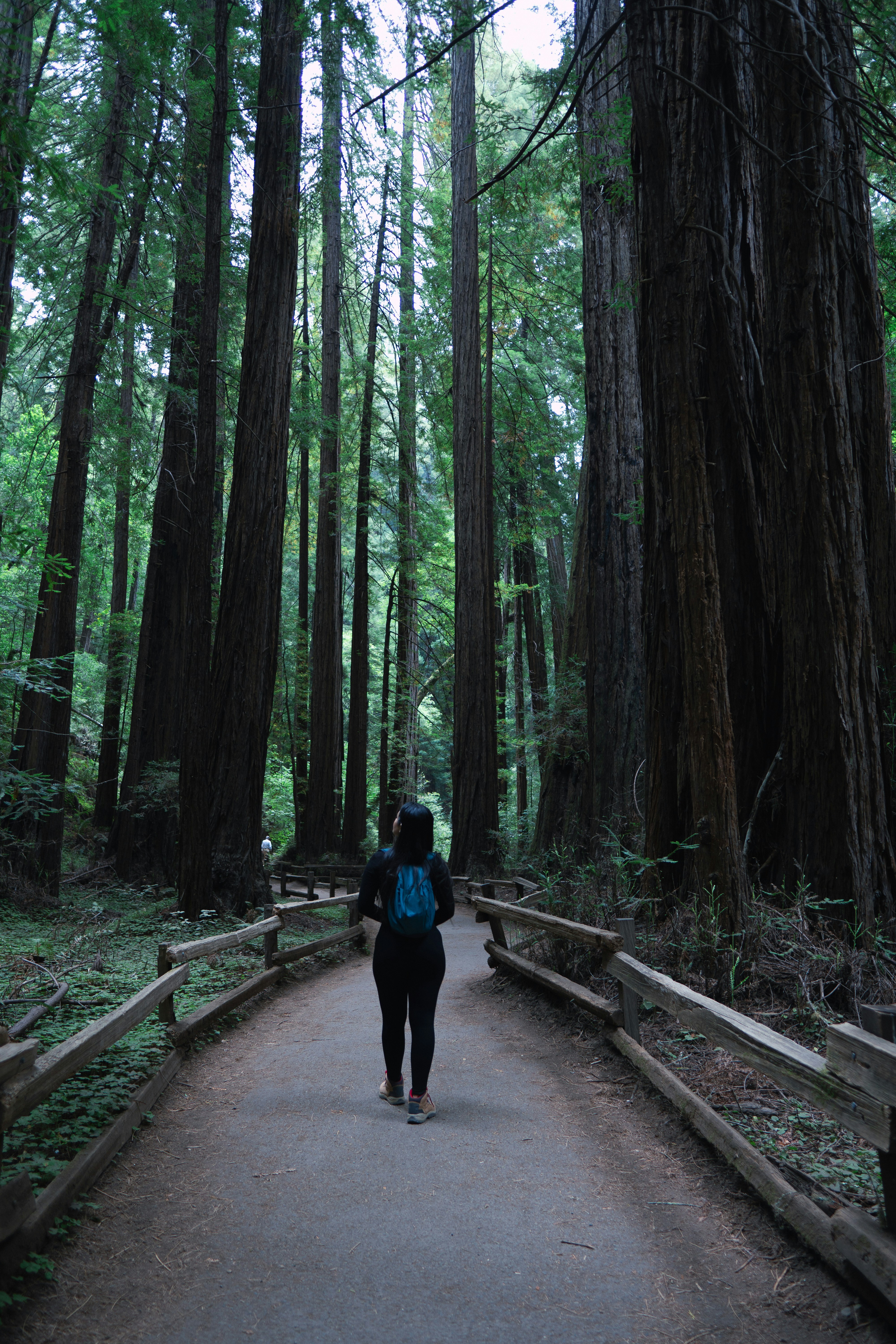 Photo by antonioguedes